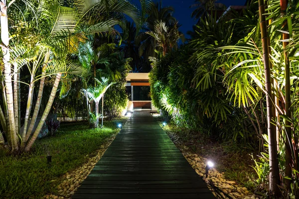 Iluminação Noturna Jardim Tropical — Fotografia de Stock