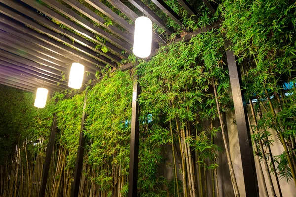 Decorative lighting inside tropical bamboo garden at night.