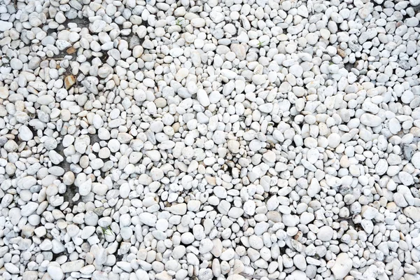 Bílý Kámen Textury Pozadí Tropické Zahradě Některé Opadá Listí — Stock fotografie