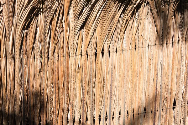 Dried Coconut Leaves Tied Together Fence Wall Shadow Trees Natural — Stock Photo, Image