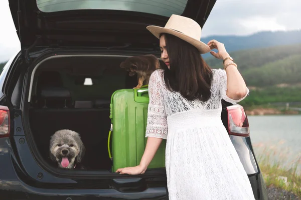 Jovem Viajante Feliz Sentado Carro Hatchback Com Cães Enquanto Estaciona — Fotografia de Stock