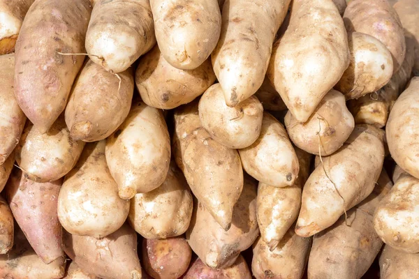 Pilha Saussurea Para Venda Mercado Padrão Lótus Neve Fundo Comida — Fotografia de Stock