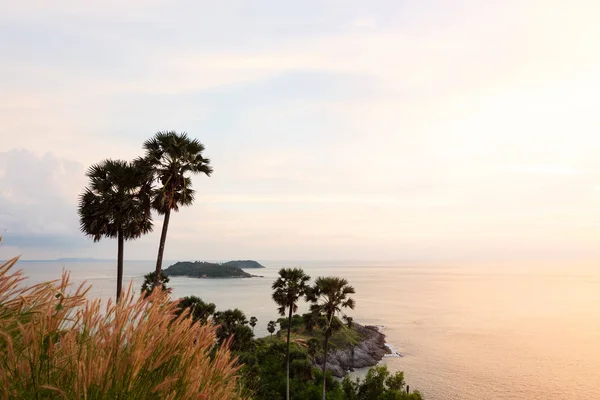 Beautiful Sunset Sky Palm Tree Grass Horizon Clam Tropical Sea — Stock Photo, Image