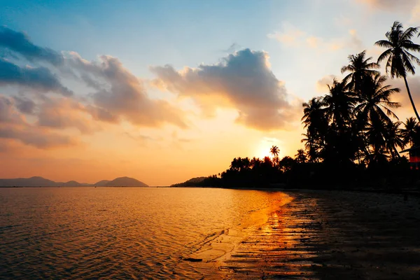 Silhouette Von Kokospalmen Strand Bei Tropischem Goldenem Sonnenuntergang Mit Blauem — Stockfoto