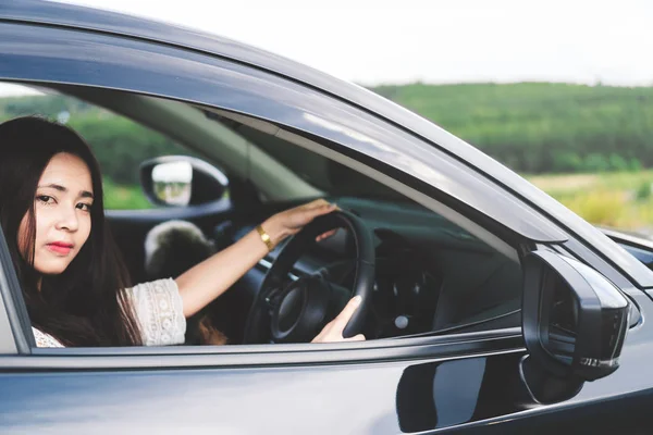 Feliz Jovem Asiático Mulher Dirigindo Carro Com Seus Cães Motorista — Fotografia de Stock