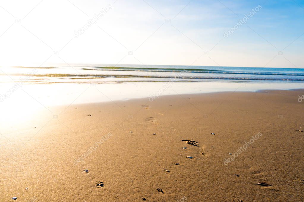 Footprints in sand at tropical beach in sunset of summer time.