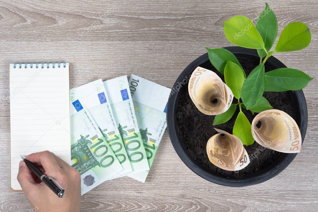 Planting Euro bills and plant in black flower pot placed on wooden table with hand writing on notepad in concept of financial planning, saving money, interest, investment and money growth, copy space.