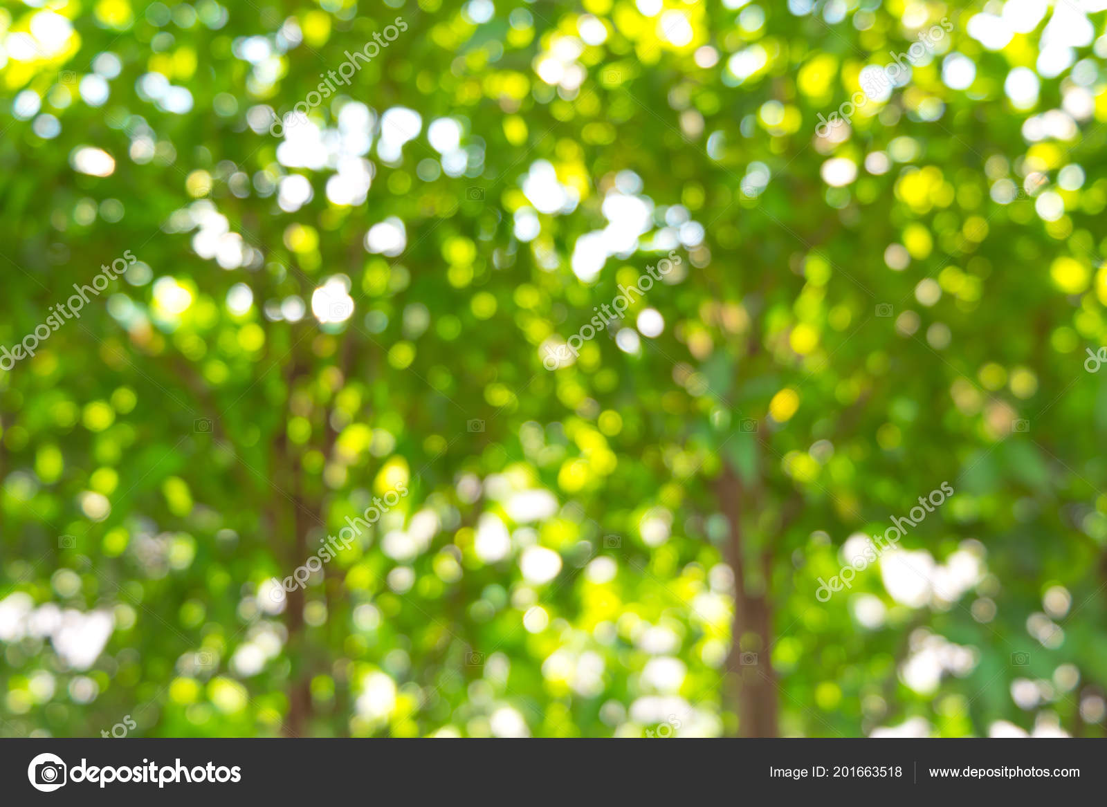 Fresh Nature Bokeh Background Blurred Bokeh Green Background Tree Sunny  Stock Photo by ©cherayut000 201663518