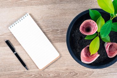 Yüz Çin yuan faturaları ve siyah saksıyı kadar para ağaç büyüme üzerinde ahşap masa kalem ve finansal planlama, kavramı içinde boş not defteri ile para, faiz ve yatırım tasarruf yerleştirilen.