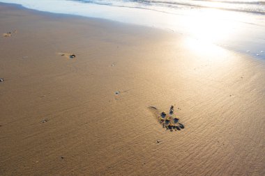 Kumdaki tropikal Beach deki günbatımı yaz saati.