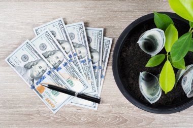 Yüz ABD Doları faturaları ve para para para, faiz ve yatırım finansal planlama kavramı üzerinde kalem ile ahşap masanın üzerine yerleştirilen siyah çiçek tencerede ağaç büyümesini.