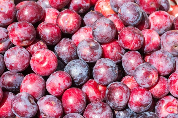 Ciruelas Frescas Maduras Puestas Mesa Mercado Ciruelas Rojas Orgánicas Apiladas —  Fotos de Stock