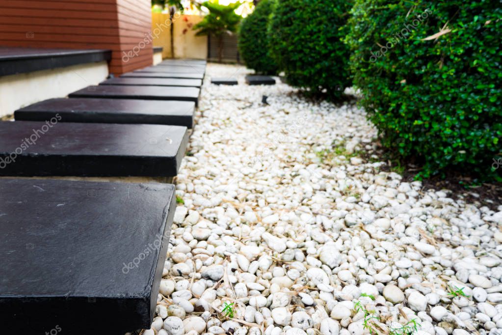 Black rocks walking way in tropical garden, Black stones garden path on white pebbles and lush green shrub tree with copy space.