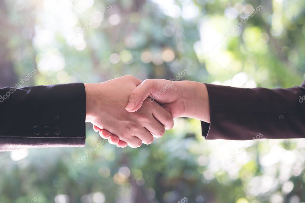 Two Businessmen handshaking in meeting in modern open  green work space. Business people shaking hand after make business deal. Concept of business partnership, successful businessman and agreement.