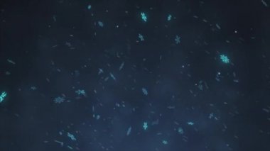 Sihirli kış karı, yağan kar karanlık kış arka planında izole edilmiş. Hareket grafikleri büyük ve küçük kar taneleri, kusursuz döngü arkaplanı.