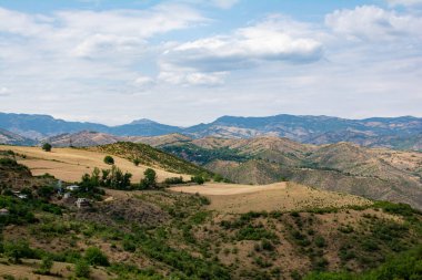 Altın tarlaların ve dağların güzel manzarası