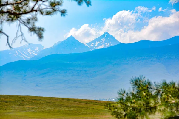 Beautiful Mountain Green Fields — Stock Photo, Image