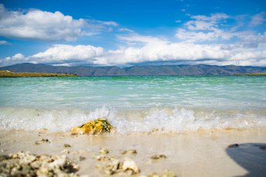 Denizin kumdaki mavi dalgaları