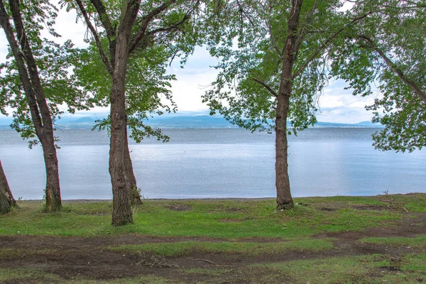 美丽的湖泊和森林景观 — 图库照片