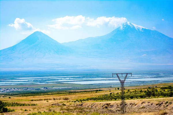 Mount Ararat Beautiful Landscape Yellow Fields — Stock Photo, Image