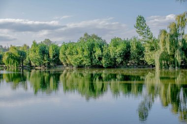 Göl ve ağaçlarla dolu yaz manzarası