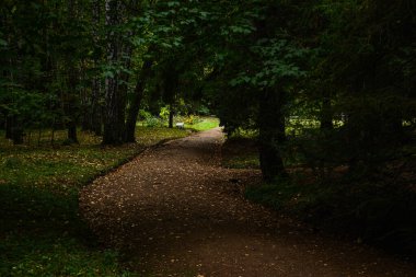 İnanılmaz bir bahçede yol