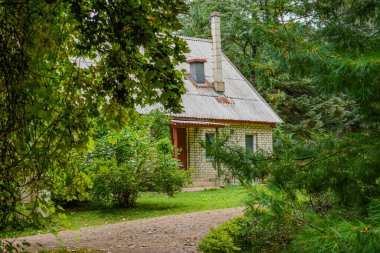 Peri ormanında küçük bir ev
