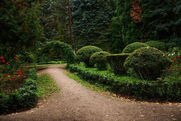 Vägen Fantastisk Trädgård — Stockfoto