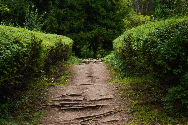 Pfad Einem Wunderbaren Garten — Stockfoto