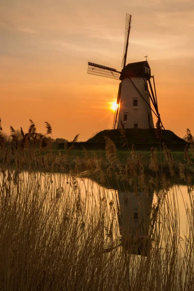 Damse ファールト フランダース ベルギー ブルージュの近くで最も美しい村の つの風車 — ストック写真