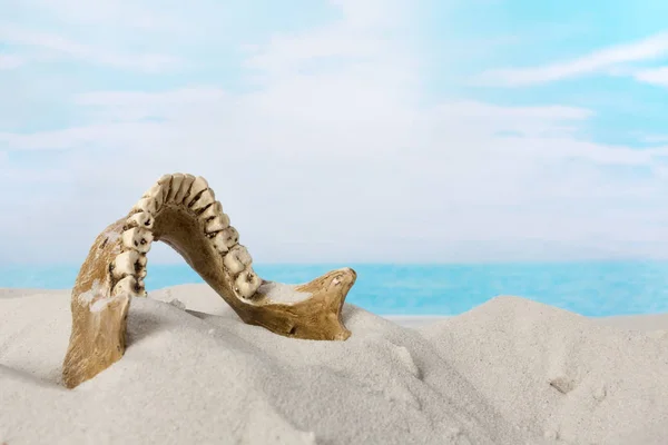 Ανατριχιαστικό Παλιά Κρανίο Που Βρέθηκε Στην Άμμο Της Παραλίας — Φωτογραφία Αρχείου