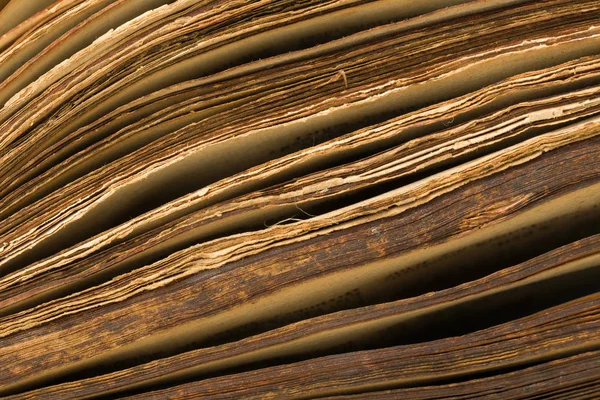 300 Yıllık Bir Ortaçağ Kitap Kenarında Yan Görünüm — Stok fotoğraf
