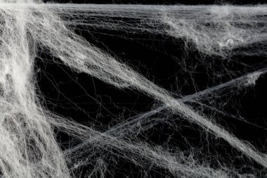 Örümcek ağı ya da örümcek ağı için Halloween tasarımlar bindirme olarak kullanılacak bir siyah arka plan