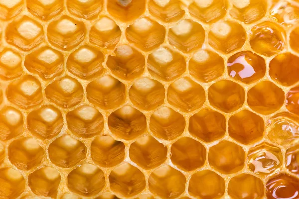 Extrém Makrofelvétel Mézzel Töltött Méhsejtszerkezetről — Stock Fotó