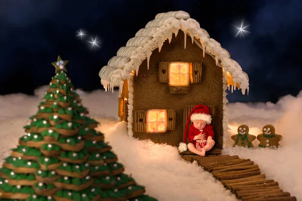 풍경에 크리스마스 하우스 신생아의 이미지 — 스톡 사진