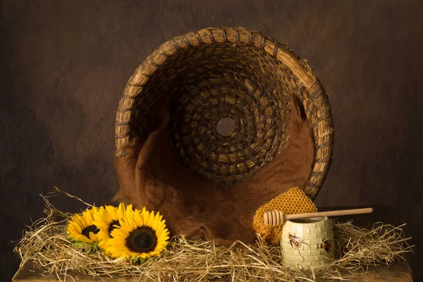 Vintage Antigua Cesta Colmena Naturaleza Muerta Puede Utilizar Para Los —  Fotos de Stock