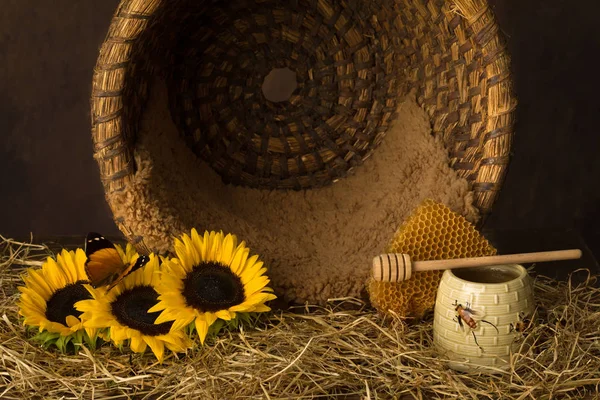 Винтажный Старый Пчелиный Натюрморт Использован Детских Композиций — стоковое фото