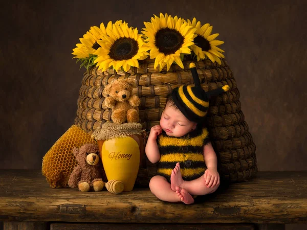 Baby bee složené — Stock fotografie