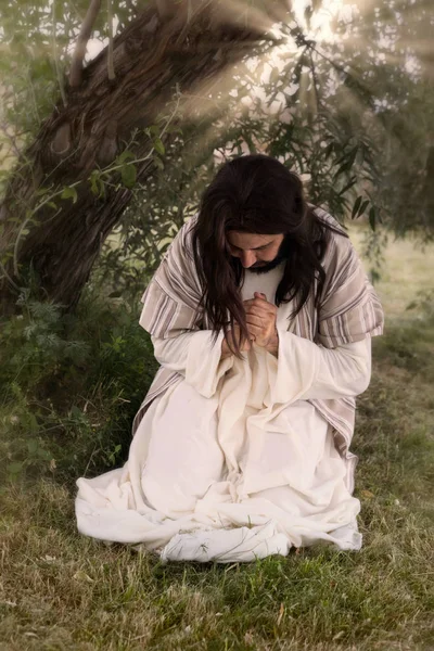 Prayer in Garden of Olives — Stock Photo, Image