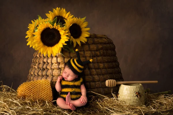 Bijenkorf en baby in Bee outfit — Stockfoto