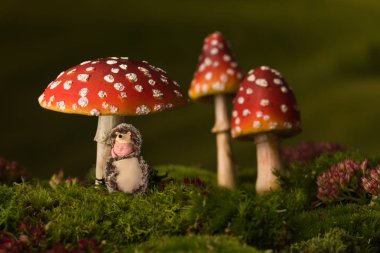 Bebek kirpi toadstools altında uyku
