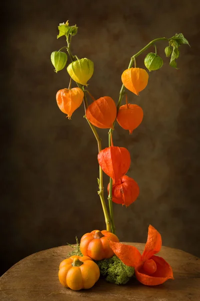 Verlichte lantaarn bloemen — Stockfoto
