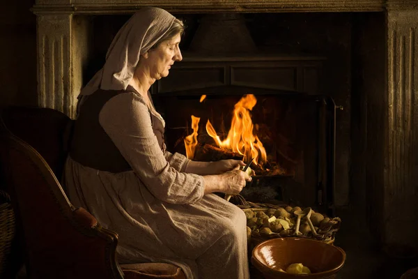 Boer vrouw Renaissance portret — Stockfoto