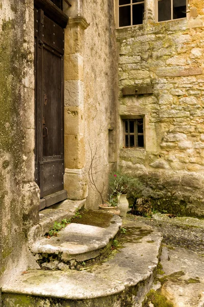 Античные Деревянные Двери Ворота Французского Средневекового Замка Замка Отделкой Собственности — стоковое фото