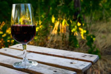 Bicchiere di Vino in vigna sulla vecchia sedia