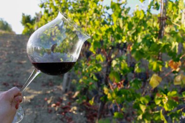 içinde üzüm şarap