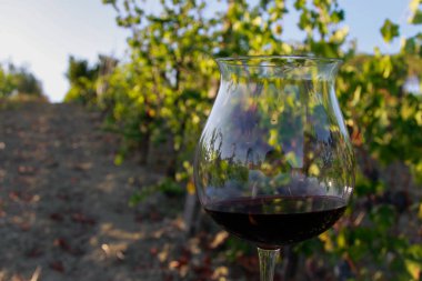 içinde üzüm şarap