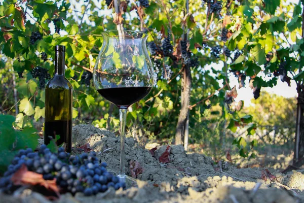 içinde üzüm şarap