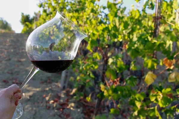 içinde üzüm şarap