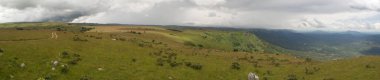 Afrika 'nın Malavi kentindeki Nyika Milli Parkı' nın bulutlu bir günde yeşil tepelerinin panorama resmi.